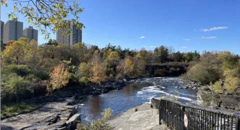 Hogs Back - Beyond the Falls, Sunday August 17, 2025 at 2 pm